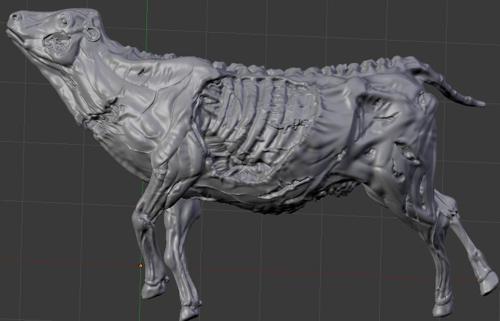 carcass of a cow preview image
